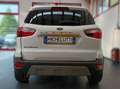 Ford EcoSport 125cv Titanium Bianco - thumbnail 5