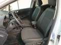 Ford EcoSport 125cv Titanium Bianco - thumbnail 11