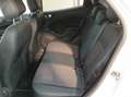 Ford EcoSport 125cv Titanium Bianco - thumbnail 10