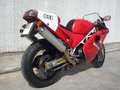 Ducati 851 sp3 Rosso - thumbnail 4