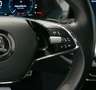 Skoda Octavia Combi First Edition 2.0 TDI*TEMP*PANO* Gris - thumbnail 15