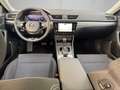Skoda Superb 2,0 TDI DSG Schwarz - thumbnail 8