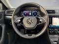 Skoda Superb 2,0 TDI DSG Schwarz - thumbnail 10