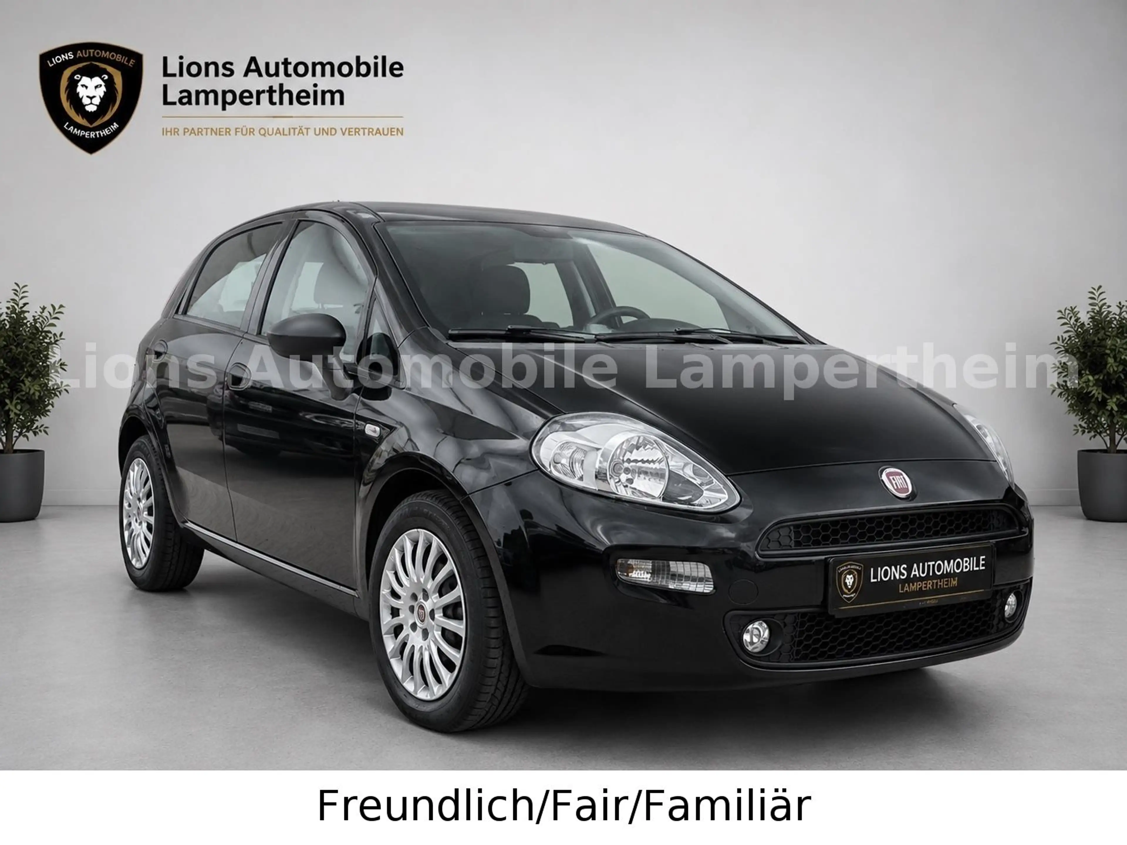 Fiat Punto Basis/NAVI/PDC/KLIMA/MULTIFUNKTION/CITY/