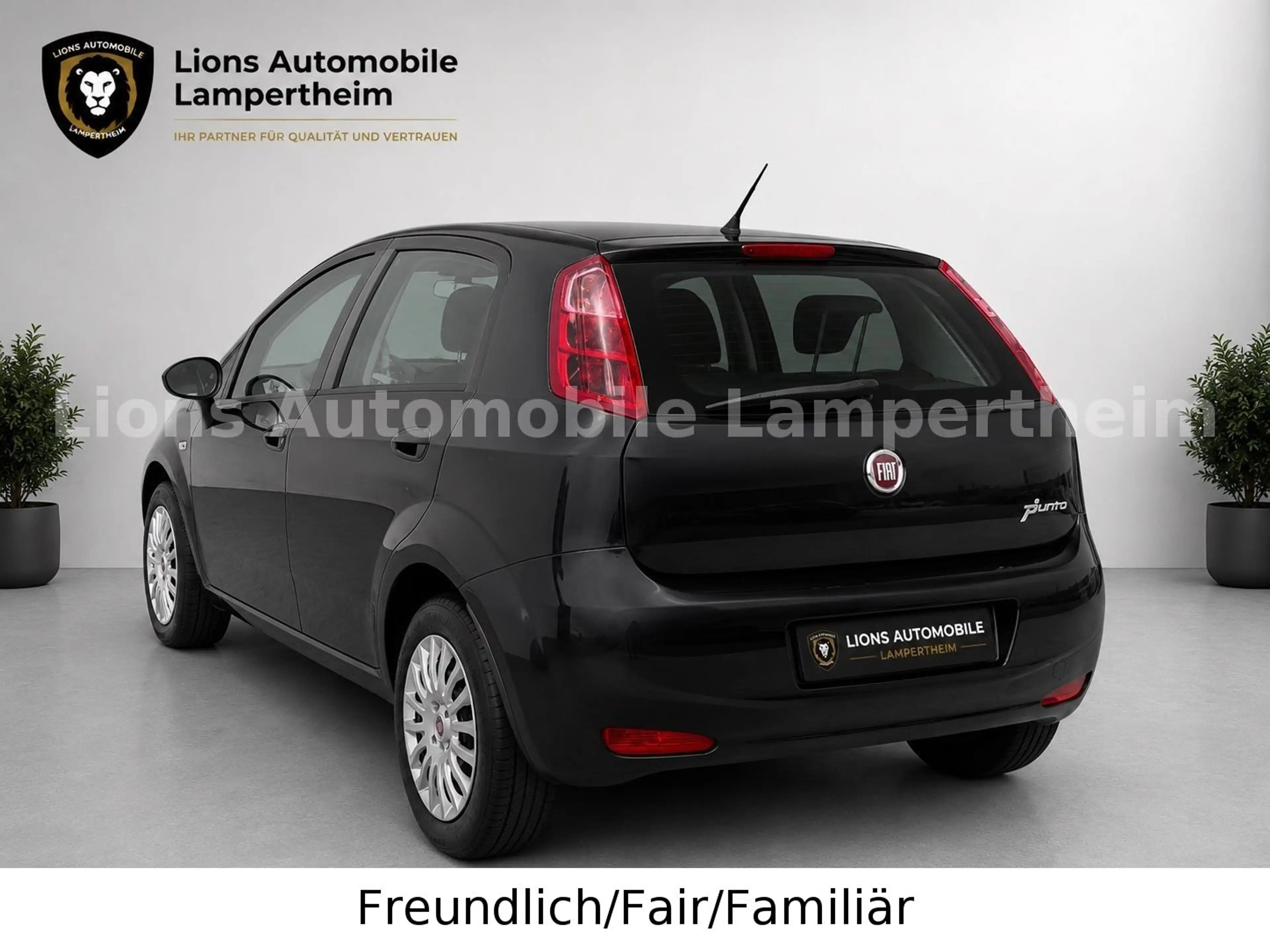 Fiat Punto Basis/NAVI/PDC/KLIMA/MULTIFUNKTION/CITY/ — photo 3