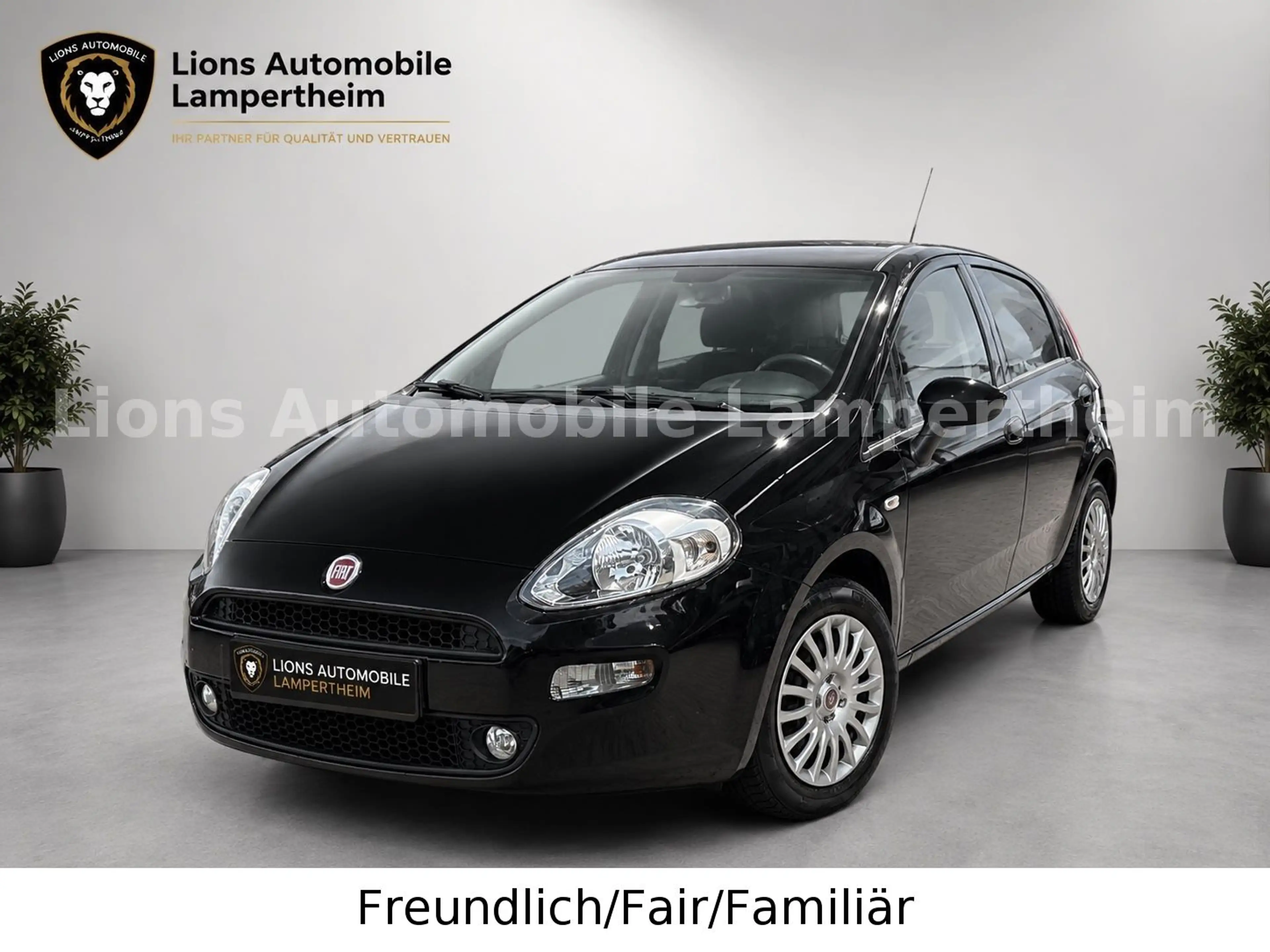 Fiat Punto Basis/NAVI/PDC/KLIMA/MULTIFUNKTION/CITY/ — photo 2