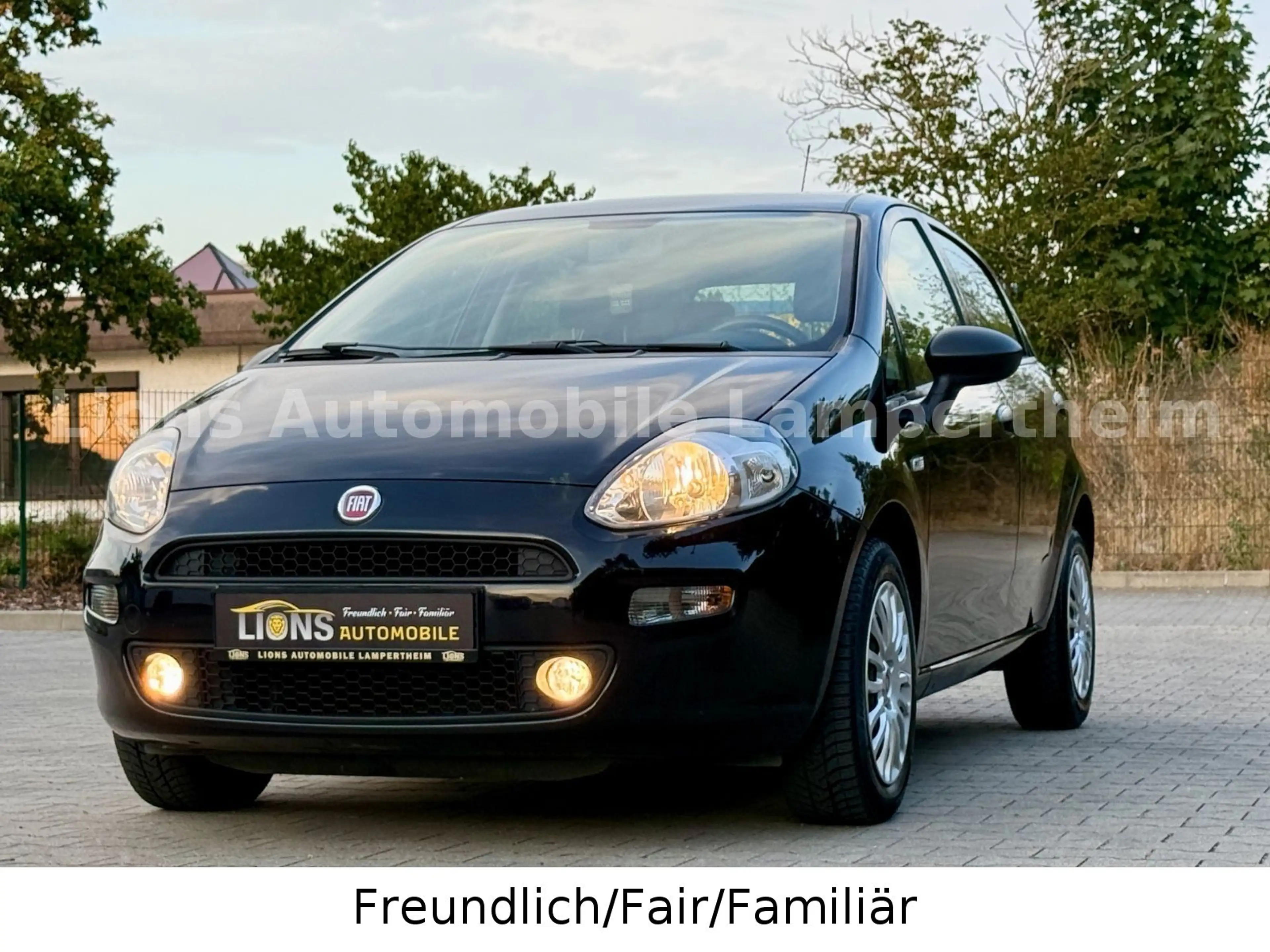 Fiat Punto Basis/NAVI/PDC/KLIMA/MULTIFUNKTION/CITY/ — photo 13