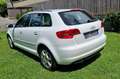 Audi A3 Sportback 1.2 tfsi Young Edition Bianco - thumbnail 4