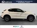 Alfa Romeo Stelvio 2.2 Turbodiesel 210 CV AT8 Q4 VeloceMY24 Bianco - thumbnail 6