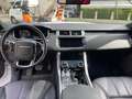 Land Rover Range Rover Sport II 2014 3.0 tdV6 HSE Dynamic auto my16 E6 Wit - thumbnail 12
