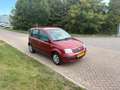 Fiat Panda 1.2 Navigator Automaat Airco Elk Ramen 4 Deurs Net Rouge - thumbnail 9