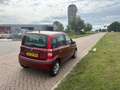 Fiat Panda 1.2 Navigator Automaat Airco Elk Ramen 4 Deurs Net Rot - thumbnail 6