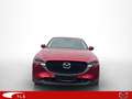 Mazda CX-5 Advantage 2WD 2.2 SKYACTIV-D 150 EU6d HUD Navi 360 Rouge - thumbnail 5