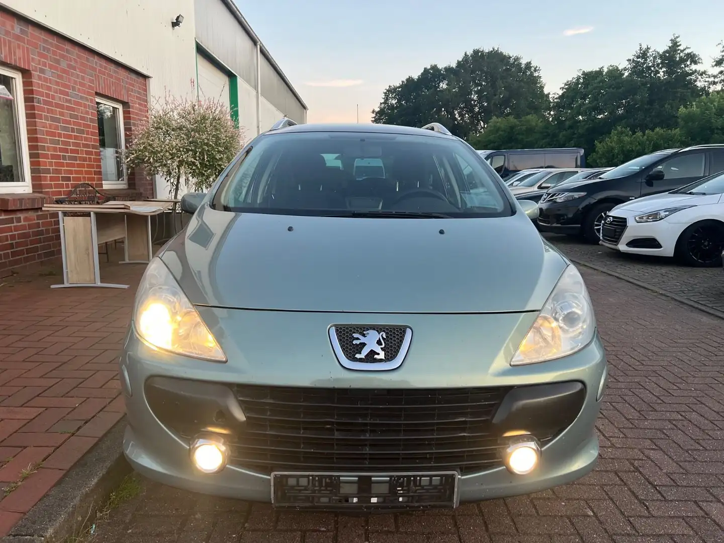 Peugeot 307 Platinum 140 Vert - 2