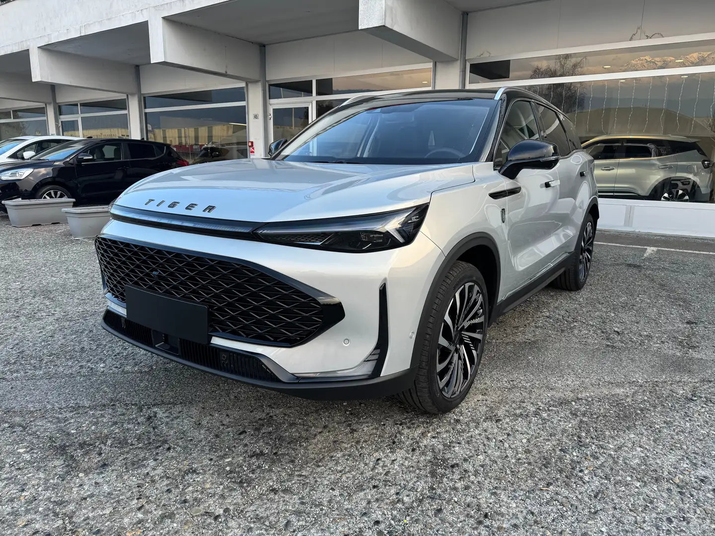 Tiger Sonstige TIGER EIGHT 7DCT GPL Silber - 1