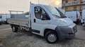 Fiat Ducato 35 2.3 MJT PL Cabinato cassone fisso 3.40m Bianco - thumbnail 1