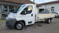 Fiat Ducato 35 2.3 MJT PL Cabinato cassone fisso 3.40m Bianco - thumbnail 3