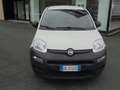Fiat Panda Panda 1.0 firefly hybrid  VAN  2 POSTI  CLIMA Bianco - thumbnail 2