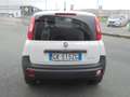Fiat Panda Panda 1.0 firefly hybrid  VAN  2 POSTI  CLIMA Bianco - thumbnail 5