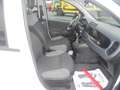 Fiat Panda Panda 1.0 firefly hybrid  VAN  2 POSTI  CLIMA Bianco - thumbnail 8