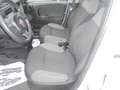 Fiat Panda Panda 1.0 firefly hybrid  VAN  2 POSTI  CLIMA Bianco - thumbnail 7