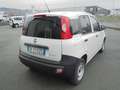 Fiat Panda Panda 1.0 firefly hybrid  VAN  2 POSTI  CLIMA Bianco - thumbnail 6