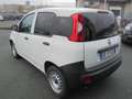 Fiat Panda Panda 1.0 firefly hybrid  VAN  2 POSTI  CLIMA Bianco - thumbnail 4