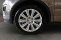 Land Rover Range Rover Evoque 2.0 TD4 150 CV Convertibile SE Dynamic Bronzo - thumbnail 3