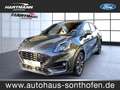 Ford Puma ST-Line Bluetooth Navi LED Klima Einparkhilfe Gris - thumbnail 1