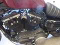 Harley-Davidson Sportster XL 883 883N Iron nieuwstaat Siyah - thumbnail 20