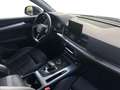 Audi Q5 40 2.0 tdi Sport quattro 190cv s-tronic Albastru - thumbnail 8