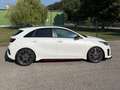 Kia Ceed / cee'd ceed 1,6 TGDI GPF GT GT Weiß - thumbnail 4