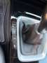 Kia Ceed / cee'd ceed 1,6 TGDI GPF GT GT Weiß - thumbnail 17