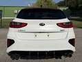 Kia Ceed / cee'd ceed 1,6 TGDI GPF GT GT Weiß - thumbnail 3
