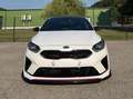 Kia Ceed / cee'd ceed 1,6 TGDI GPF GT GT Weiß - thumbnail 6