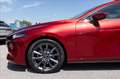 Mazda 3 5p 2.0 m-hybrid Exceed 122cv Rosso - thumbnail 7