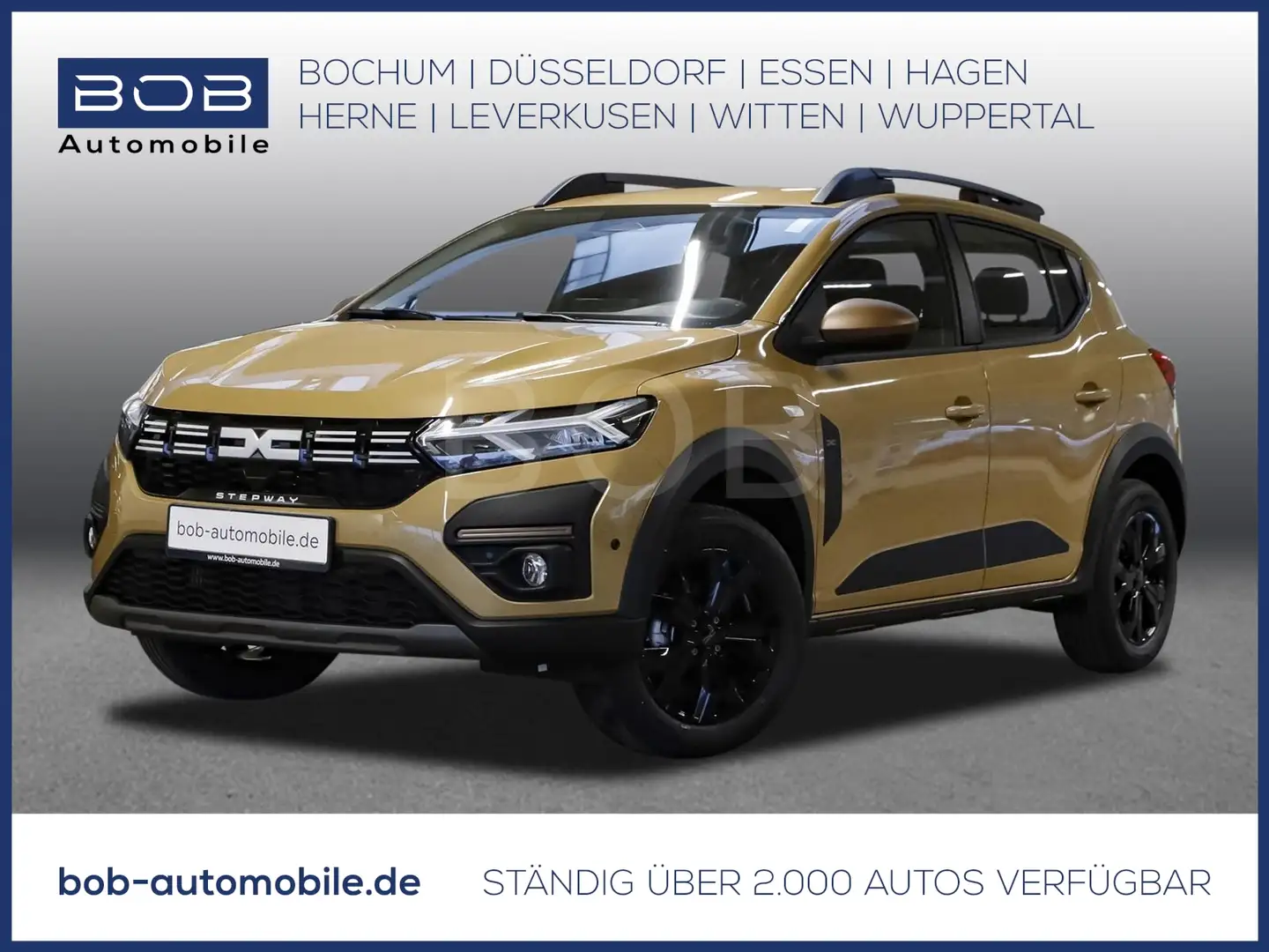 Dacia Sandero Stepway Extreme+ ECO-G 100 NAVI SHZ PDC Beige - 1
