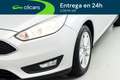 Ford Focus 1.6 TI-VCT Trend Powershift Gris - thumbnail 10