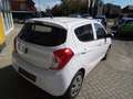 Opel Karl Edition Weiß - thumbnail 4