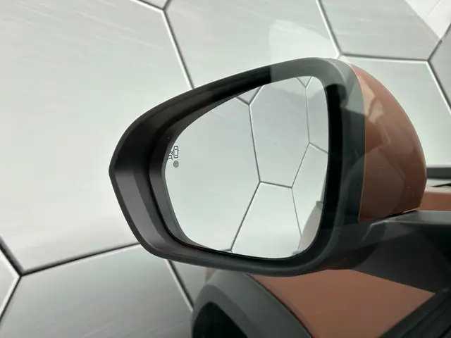 Dacia Bigster view 25