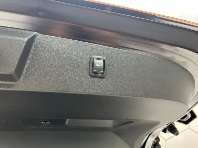 Dacia Bigster view 19