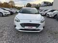 Ford Focus Turnier 1.5 ECOB Cool & Connect/1.Hand/LED Blanc - thumbnail 2