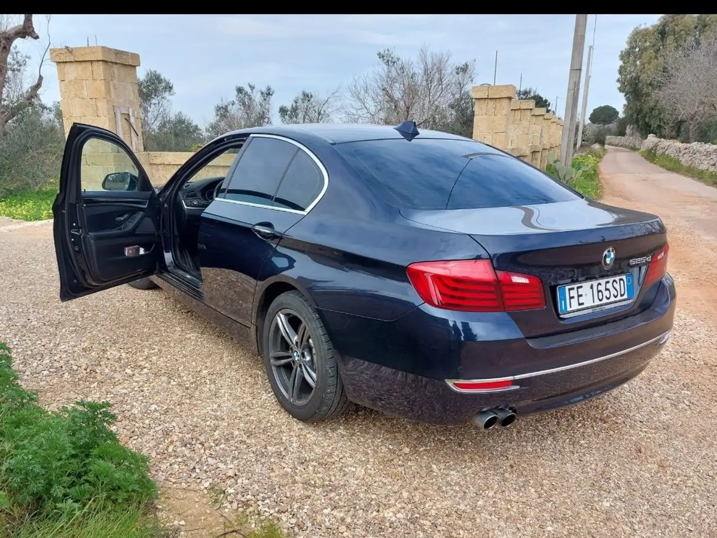 BMW 525 Serie 5 F10 Berlina525d Luxury E6B Blu/Azzurro - 2