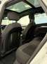 Audi Q5 2.0tdi 204cv Sline quattro Tetto Gancio Weiß - thumbnail 6