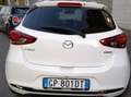 Mazda 2 2023 1.5 m-hybrid Exclusive Assistance Pack 90cv Bianco - thumbnail 2