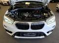 BMW X1 sDrive 18 d Sport Line Automatik Navi Head-Up LED Weiß - thumbnail 13