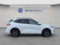Ford Kuga 2.5 Duratec PHEV ST-LINE Blanc - thumbnail 7