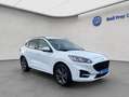 Ford Kuga 2.5 Duratec PHEV ST-LINE Weiß - thumbnail 8