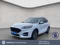 Ford Kuga 2.5 Duratec PHEV ST-LINE Blanc - thumbnail 1
