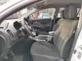 Kia Sportage 1.7 crdi Cool 2wd Bianco - thumbnail 9